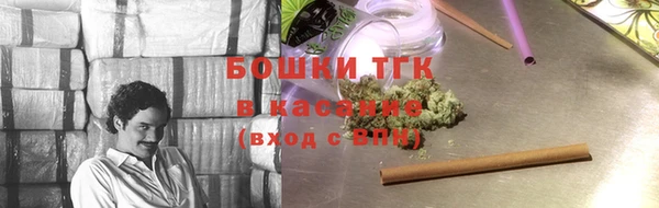 молекула духа Михайловск