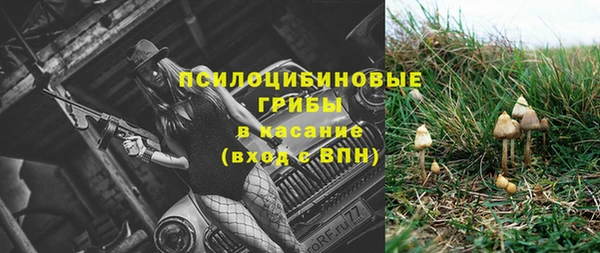 молекула духа Михайловск
