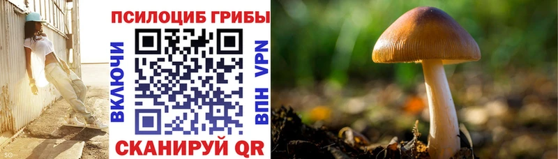 Галлюциногенные грибы мицелий Печоры